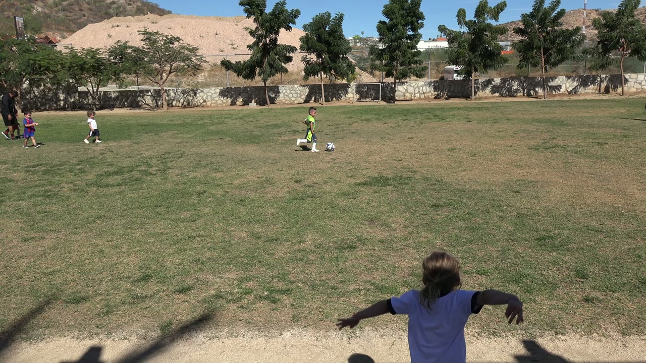Children on a grass soccer field with a ball near the left side.