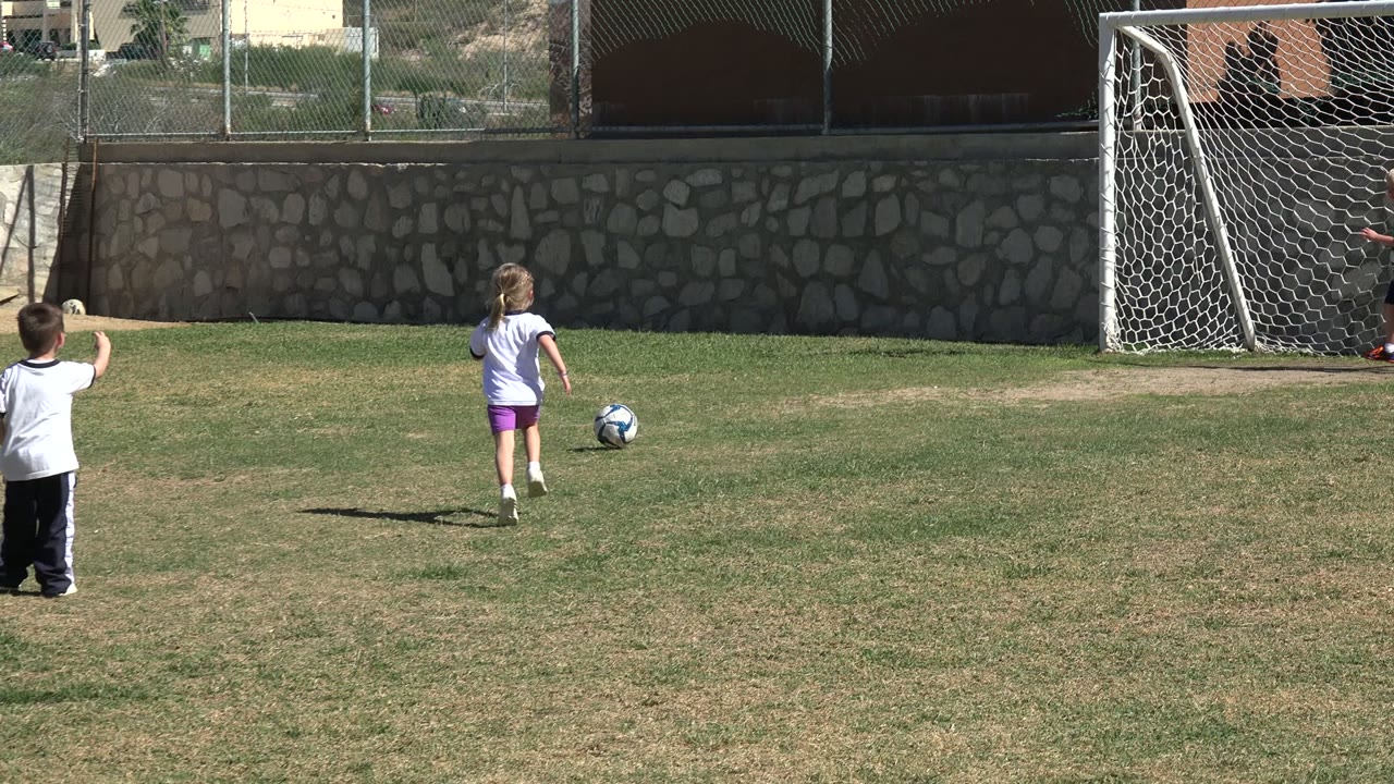Children on a grass soccer field near a goal and ball.