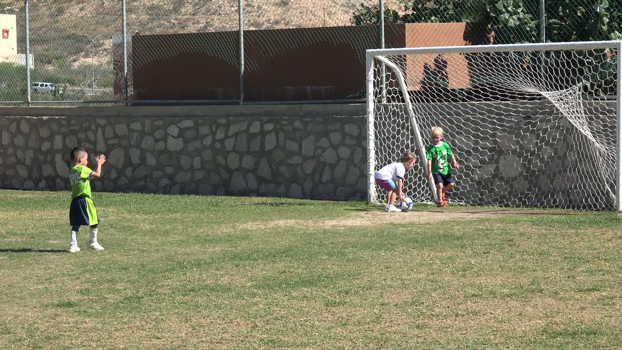 Children on a soccer field near a white goal.