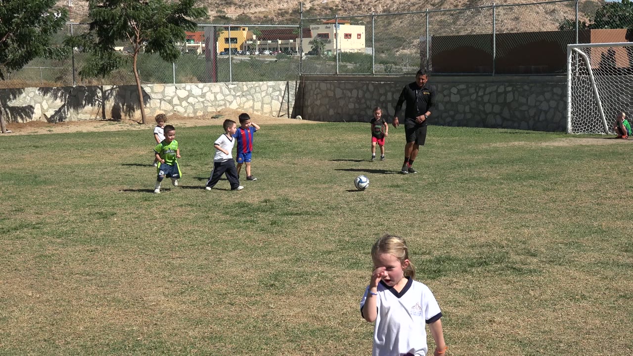 Young children play soccer near a coach on a grass field.