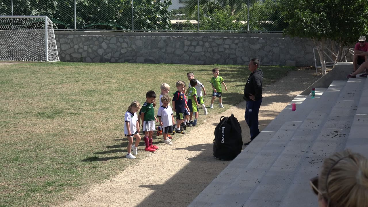 Children in soccer uniforms line up near a coach on an outdoor field.