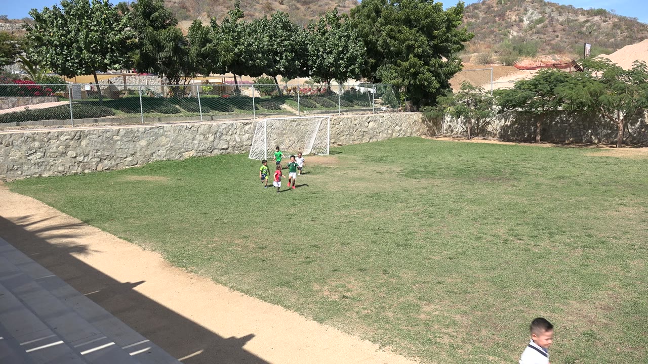 Small children near a soccer goal on a grassy field