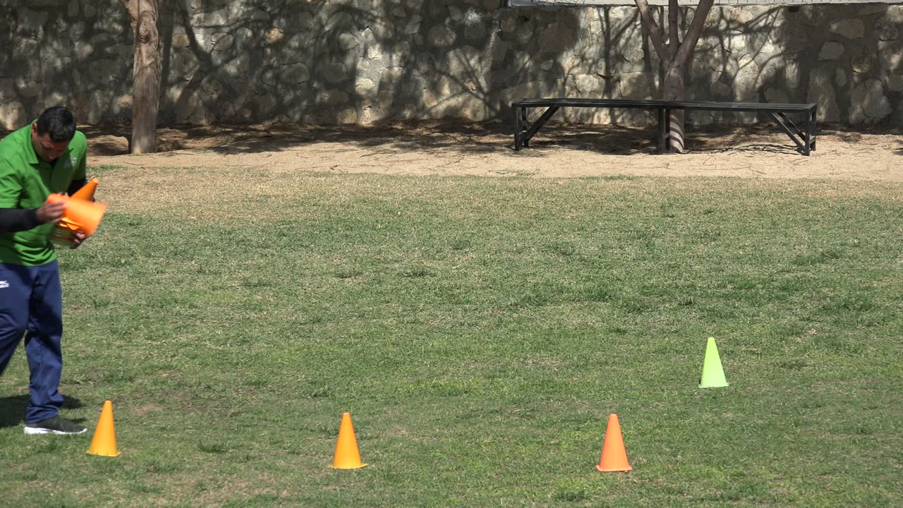 A person in a green shirt carries an orange cone through a cone-marked grass field in Los Cabos, Mexico, with a stone wall, tree shade, and a bench in the background.