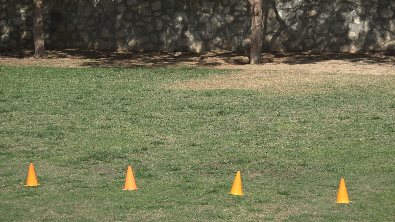 Orange cones on a sunny grassy football pitch with a stone wall behind them.