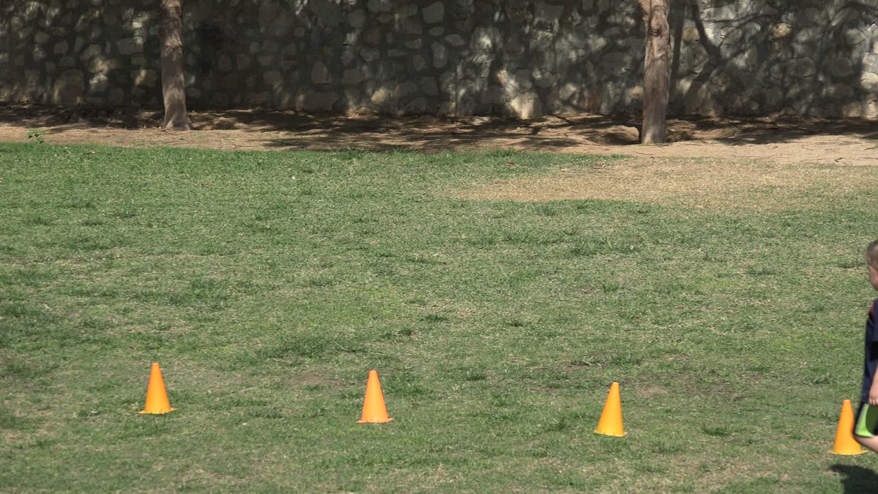 A wide view of the Los Cabos football pitch shows orange cones spaced across the grass, with the stone wall and shaded trees still in the background, no visible people.