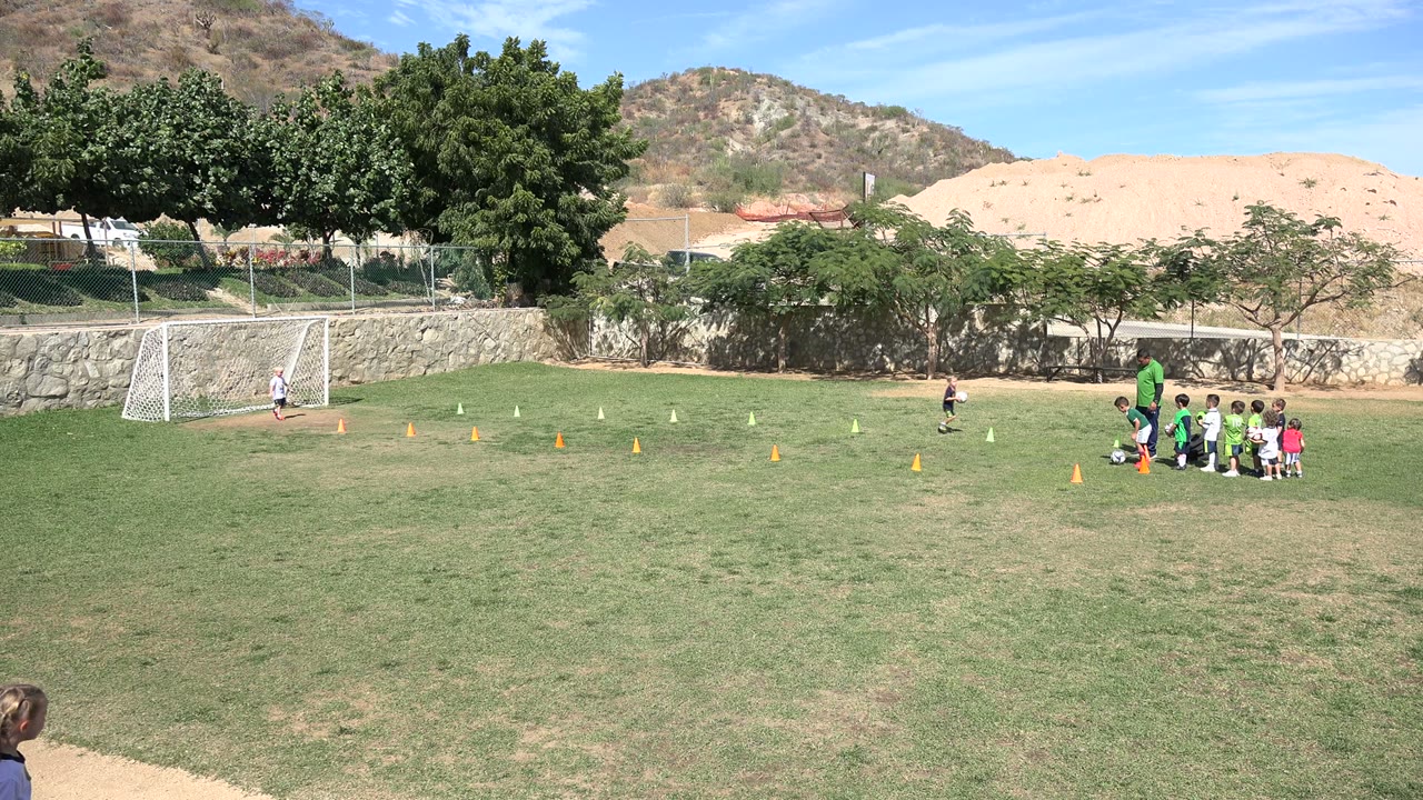 Coach watches children lined up on a sunny soccer field.