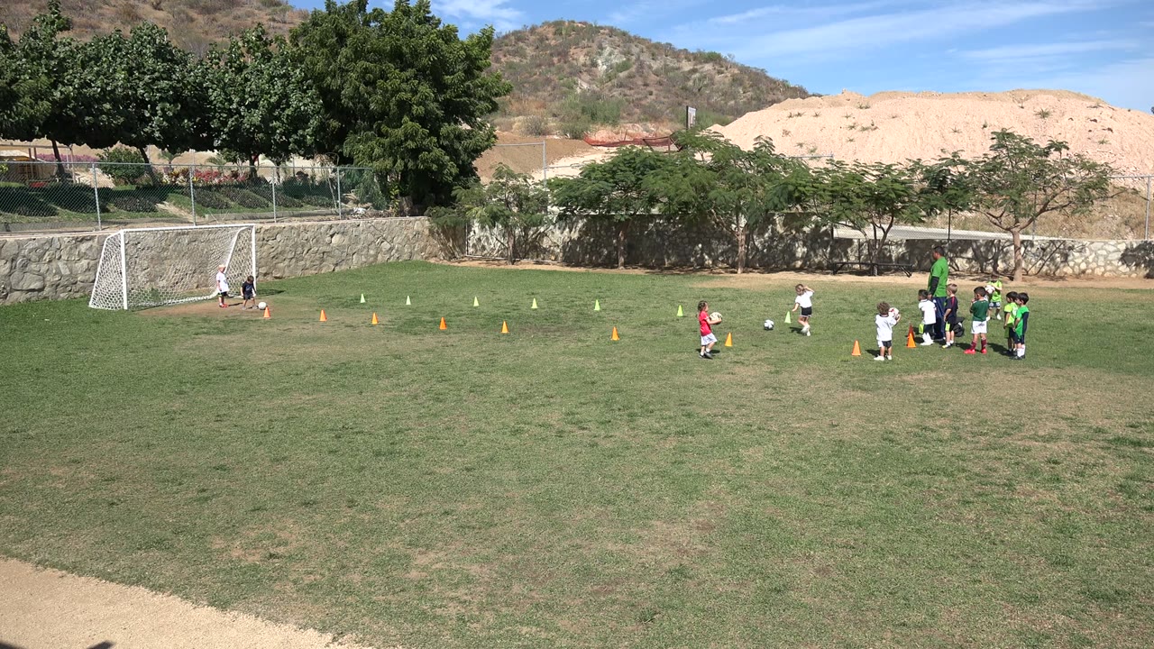 Children practice soccer near cones on a sunny field.