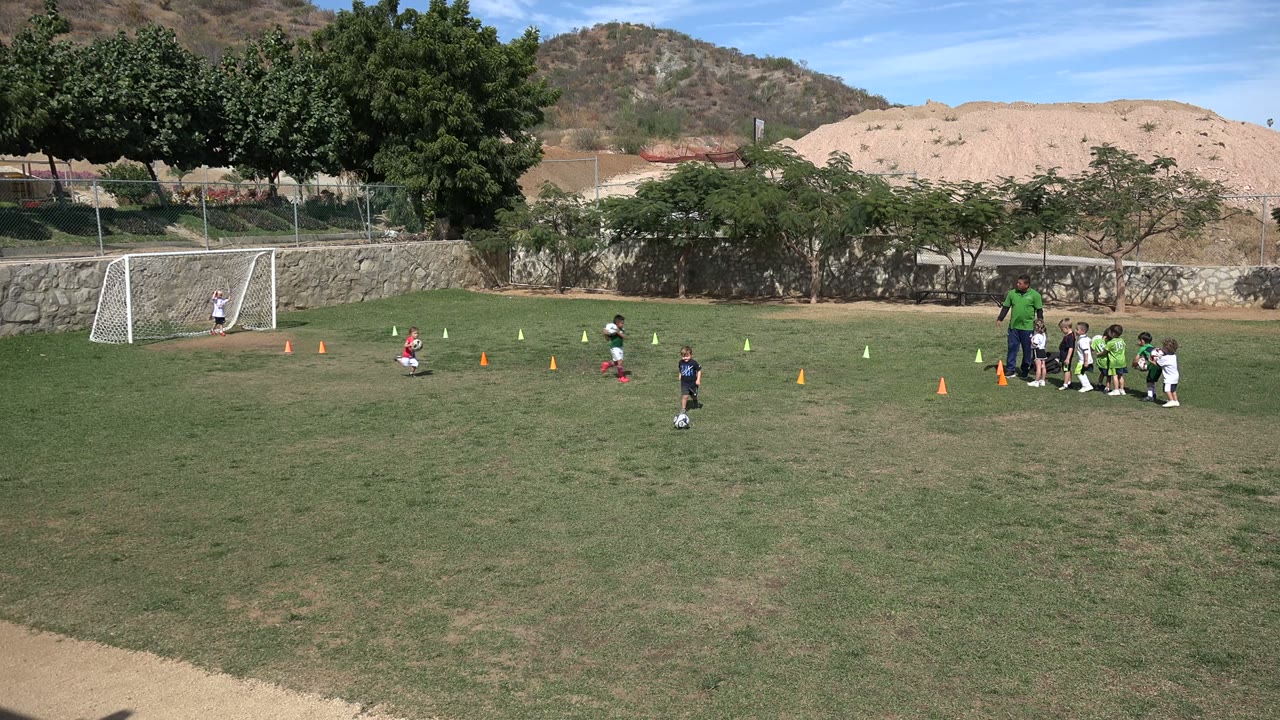 Children practice soccer on a field with a coach and cones.