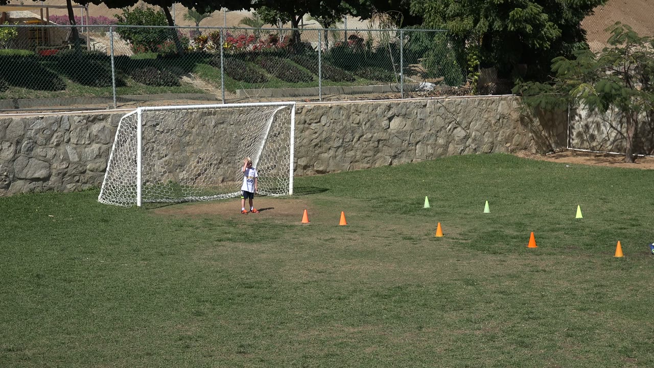 Soccer field with a child near the goal and practice cones across the grass.