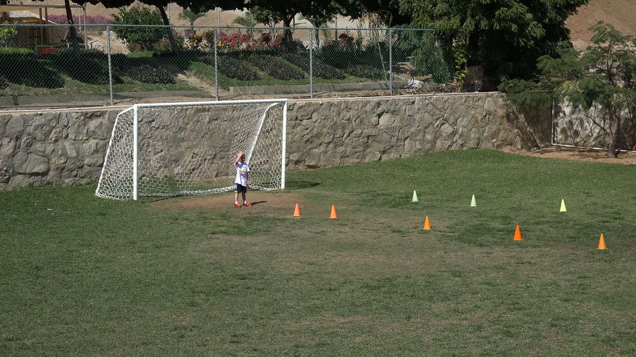 Child standing beside a small soccer goal on a grassy field with training cones.