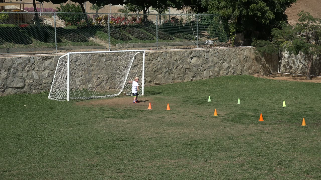 Child walking beside a soccer goal with cones across the grass.