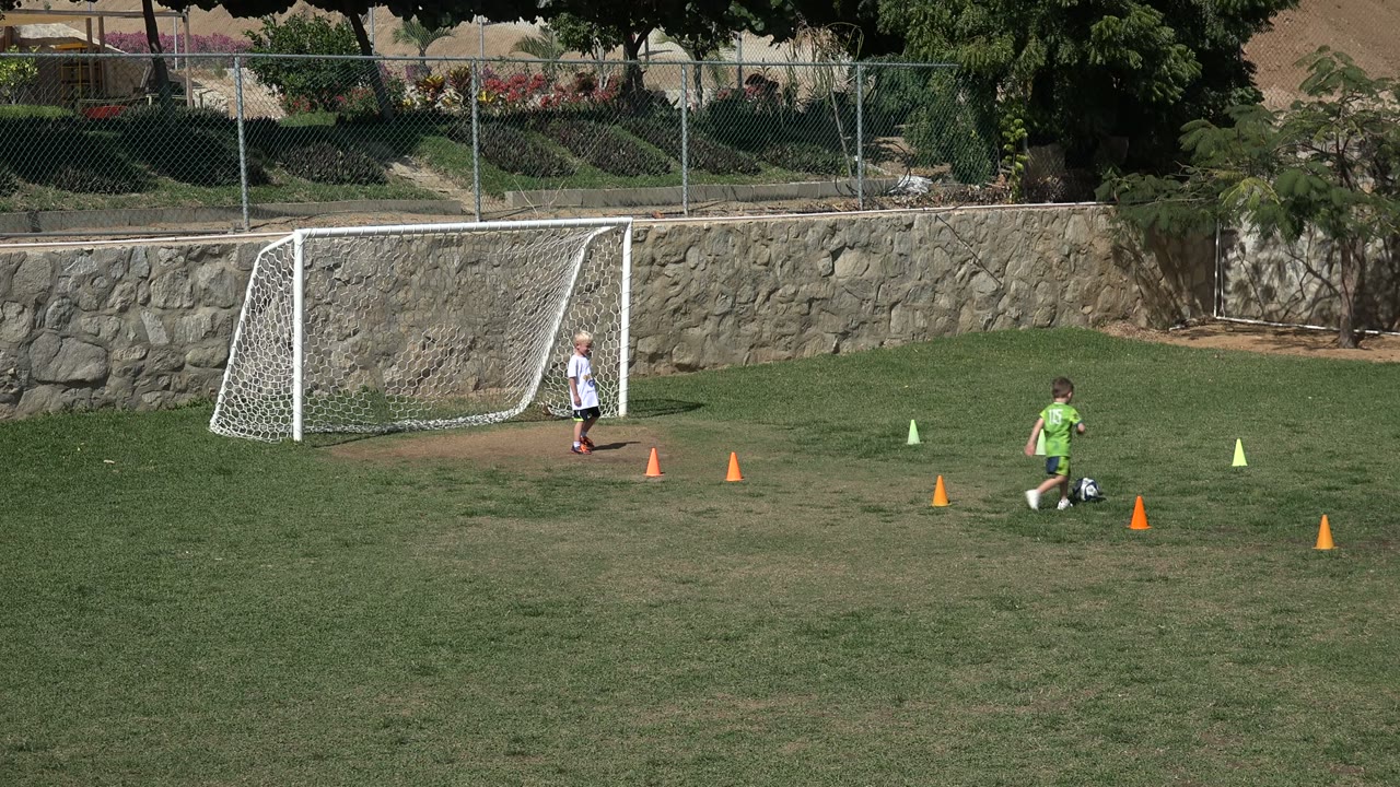 Child dribbles a soccer ball near cones with a small goal behind.