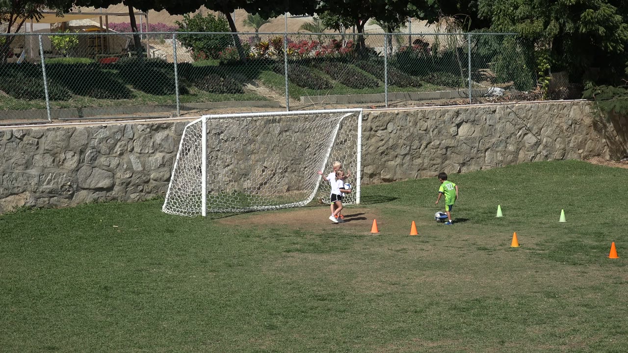 Children practice soccer near a white goal on a grass field.