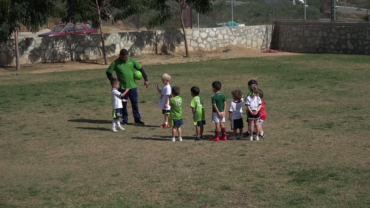 Adult with a ball facing children on a grass field.