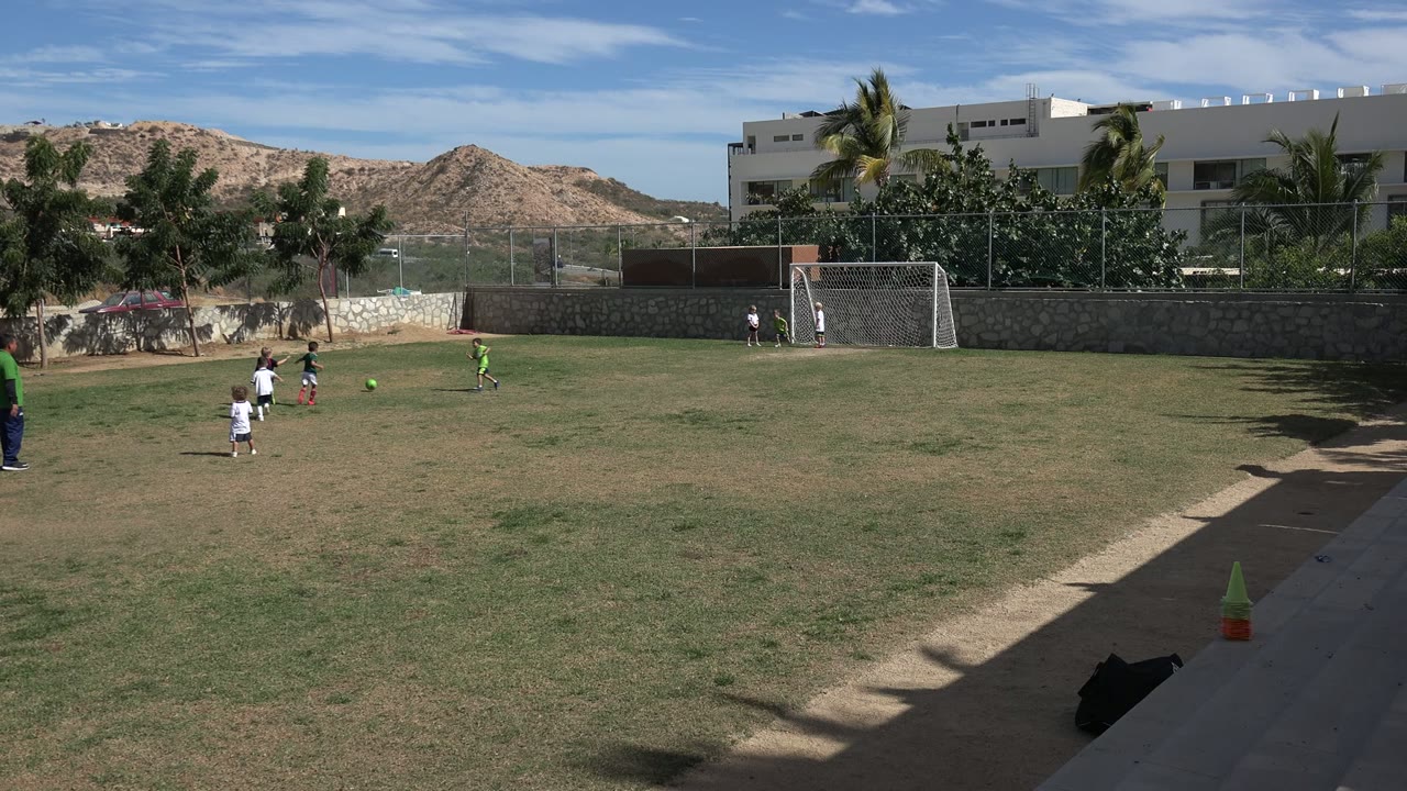 Children playing soccer on a grass field near a small goal.