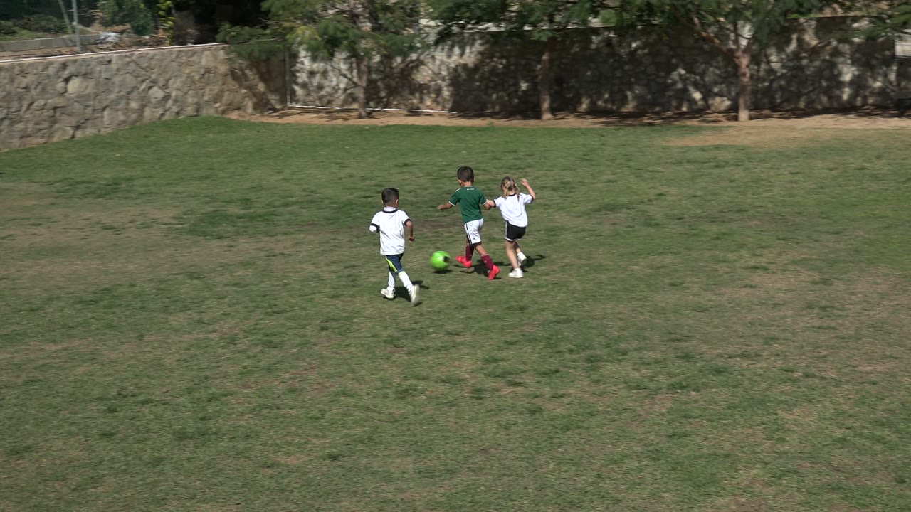 Children chase a green soccer ball on a grassy field near a white goal.