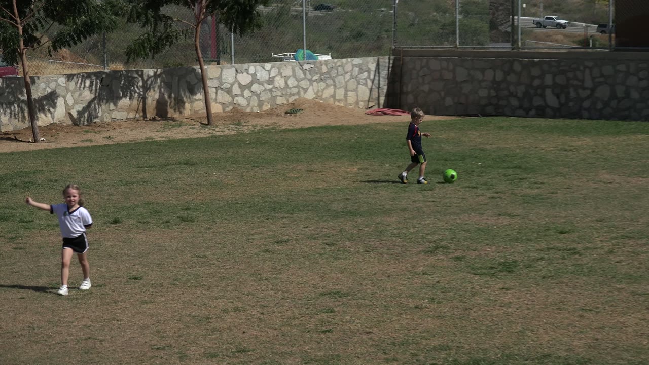 Children on a grass soccer field with a green ball near the goal area.
