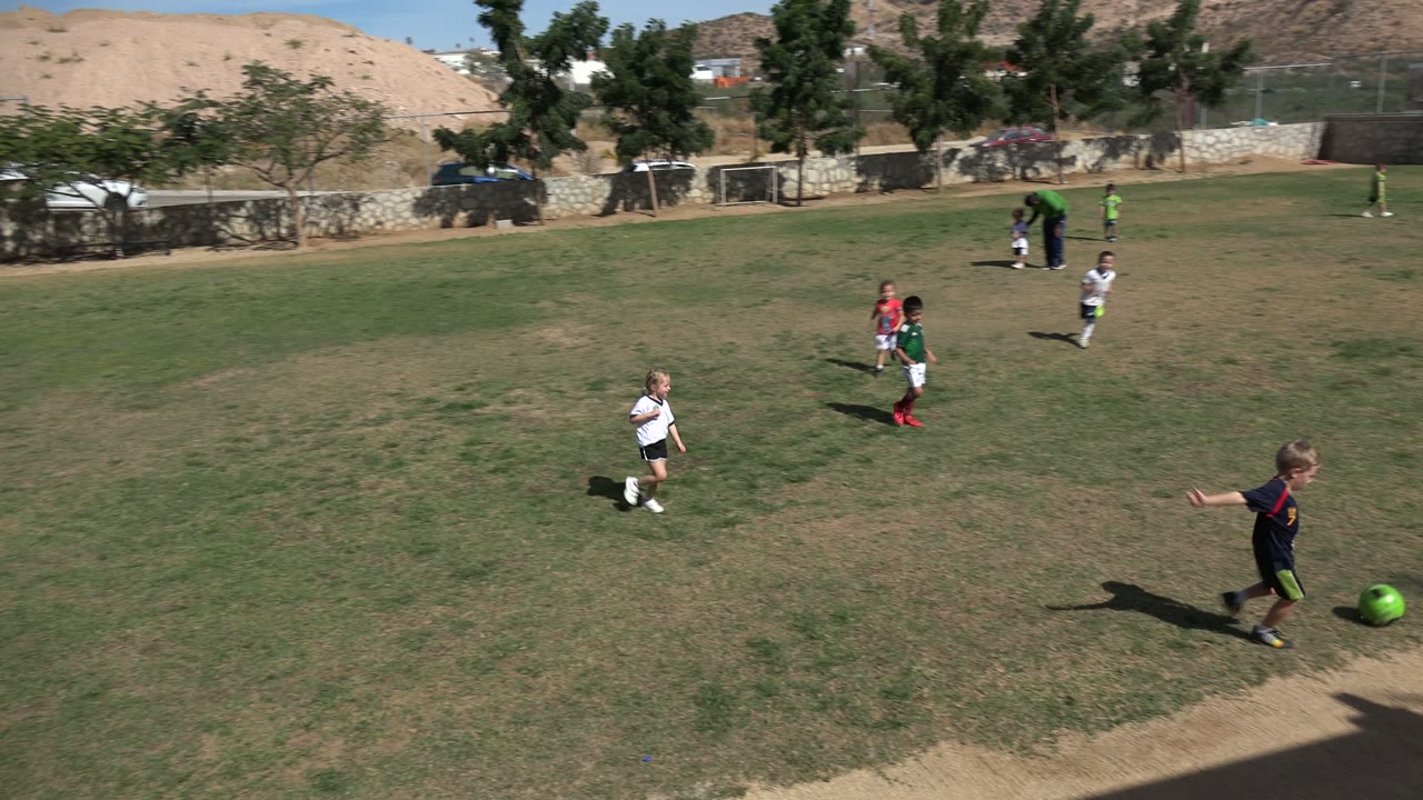 Children scattered across a grassy soccer field with a green ball near the foreground.