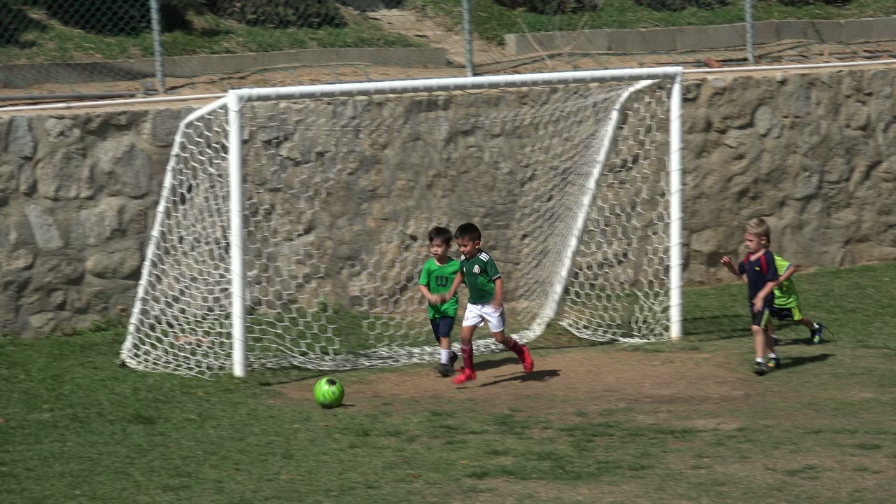 Children playing soccer near a white goal with a green ball on grass.