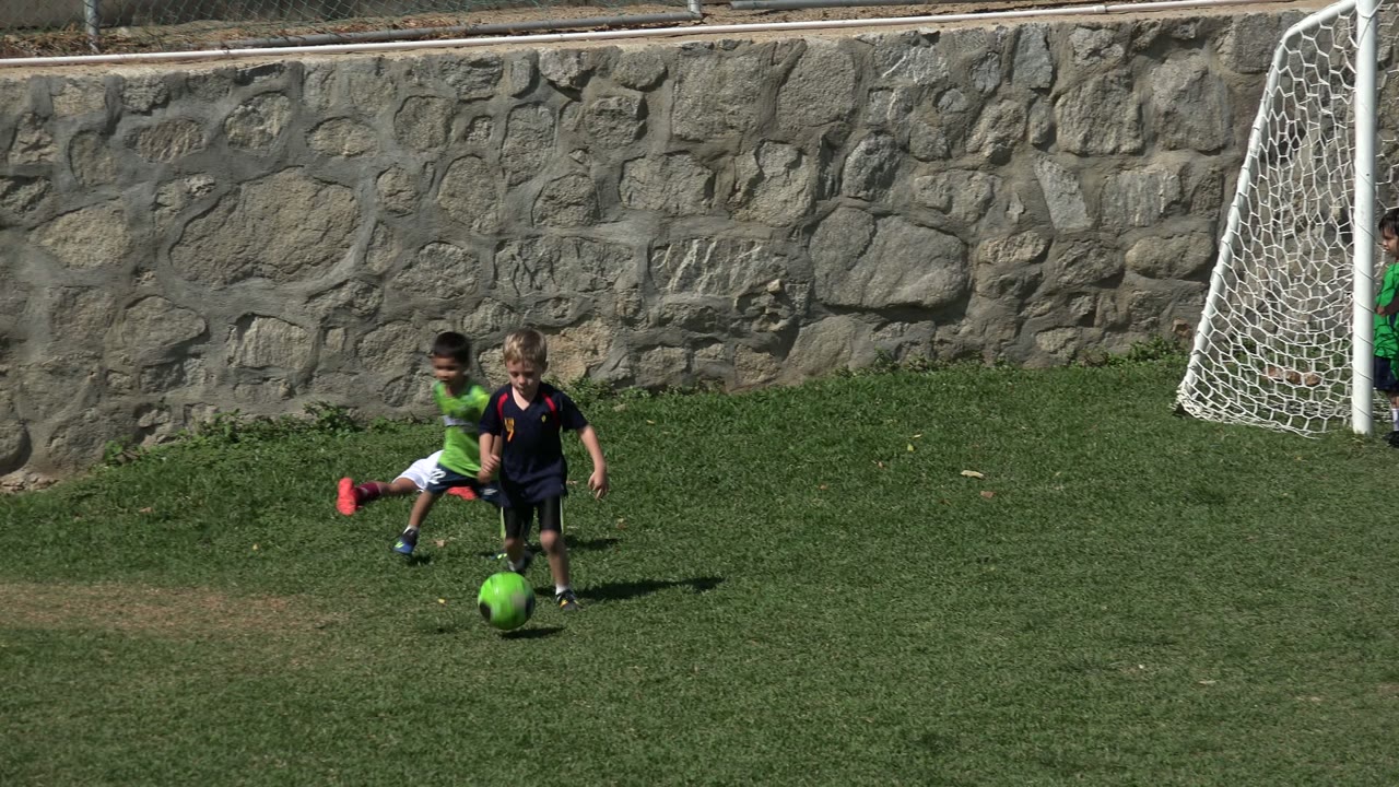 Children play soccer beside a white goal on a grass field.