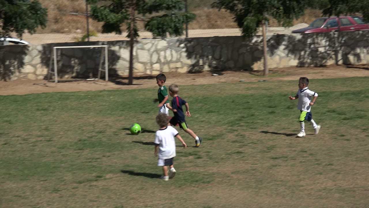 Children running on a grass soccer field near a green ball