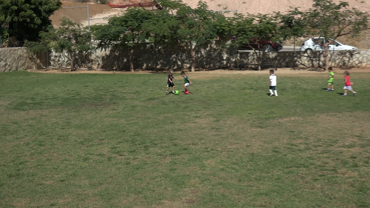 A group of children runs after a soccer ball on the field.