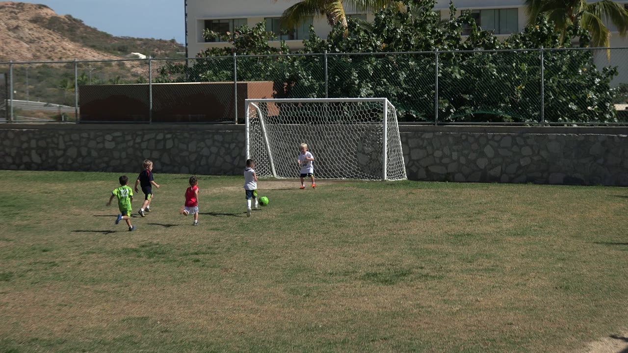 Children clustered near a soccer goal on a grass field.