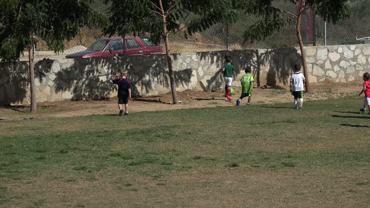 Children on a grass soccer field near trees and a stone wall.