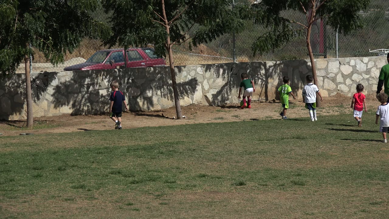 Young players in green, white, and red shirts chase the ball near a tree along the edge of the Los Cabos park field.