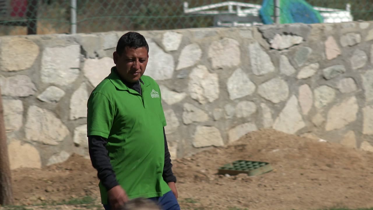 A man in a green shirt walks across grass in Los Cabos, Mexico, with a stone wall and dirt strip behind him.