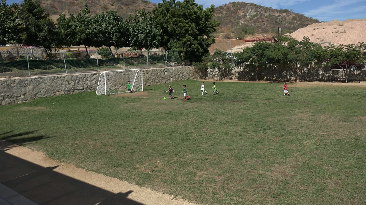 Children contest the ball in front of the soccer goal.