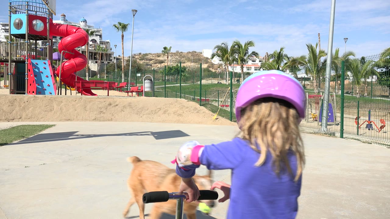 The child is seen from behind on a scooter in Los Cabos, Mexico, while a dog passes through the foreground and fenced playground equipment fills the background.