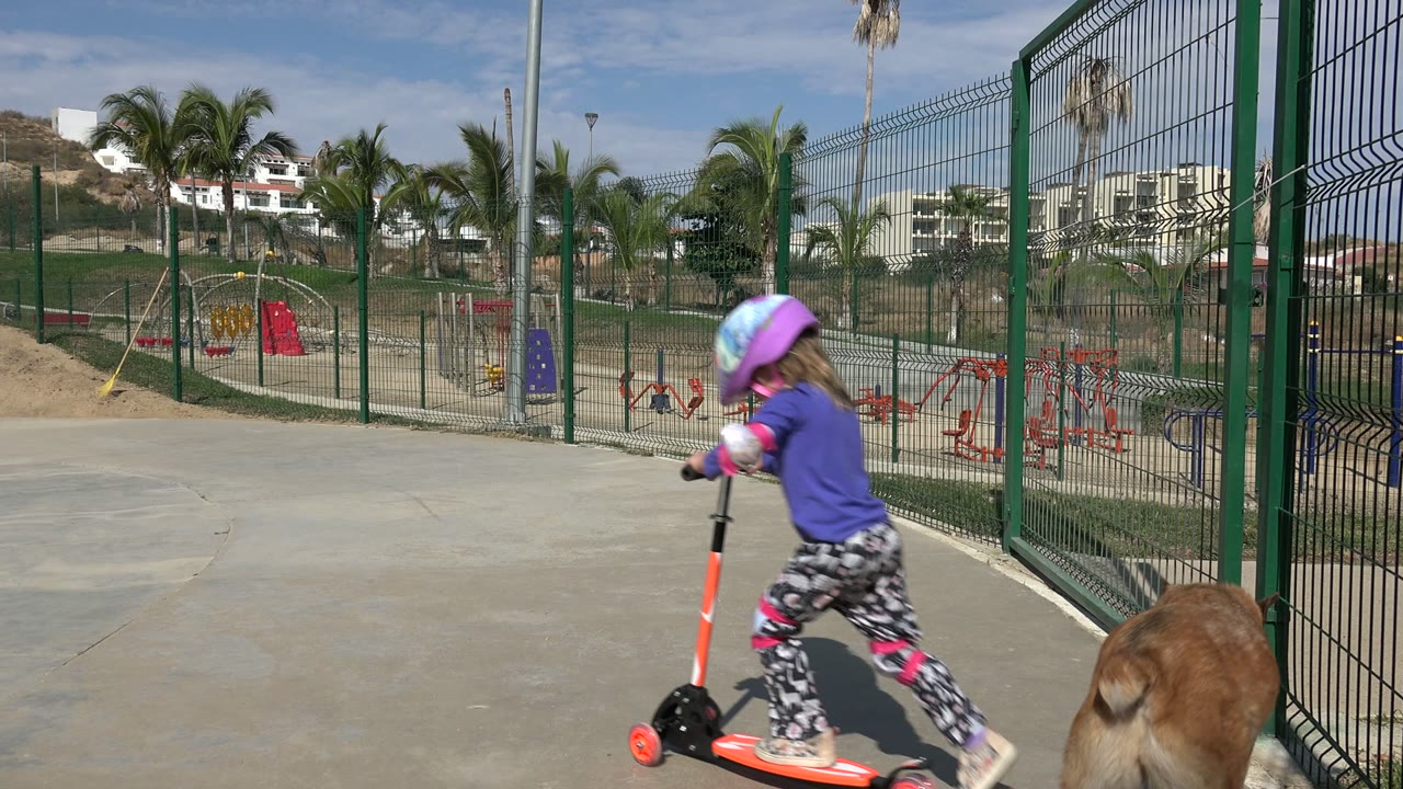 Girl in a helmet riding an orange scooter near a brown dog by a playground fence.
