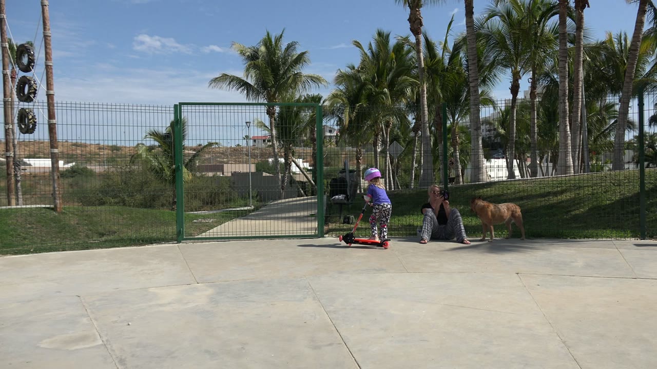 Girl on a small red skating cycle near a seated adult and dog by a green park gate.