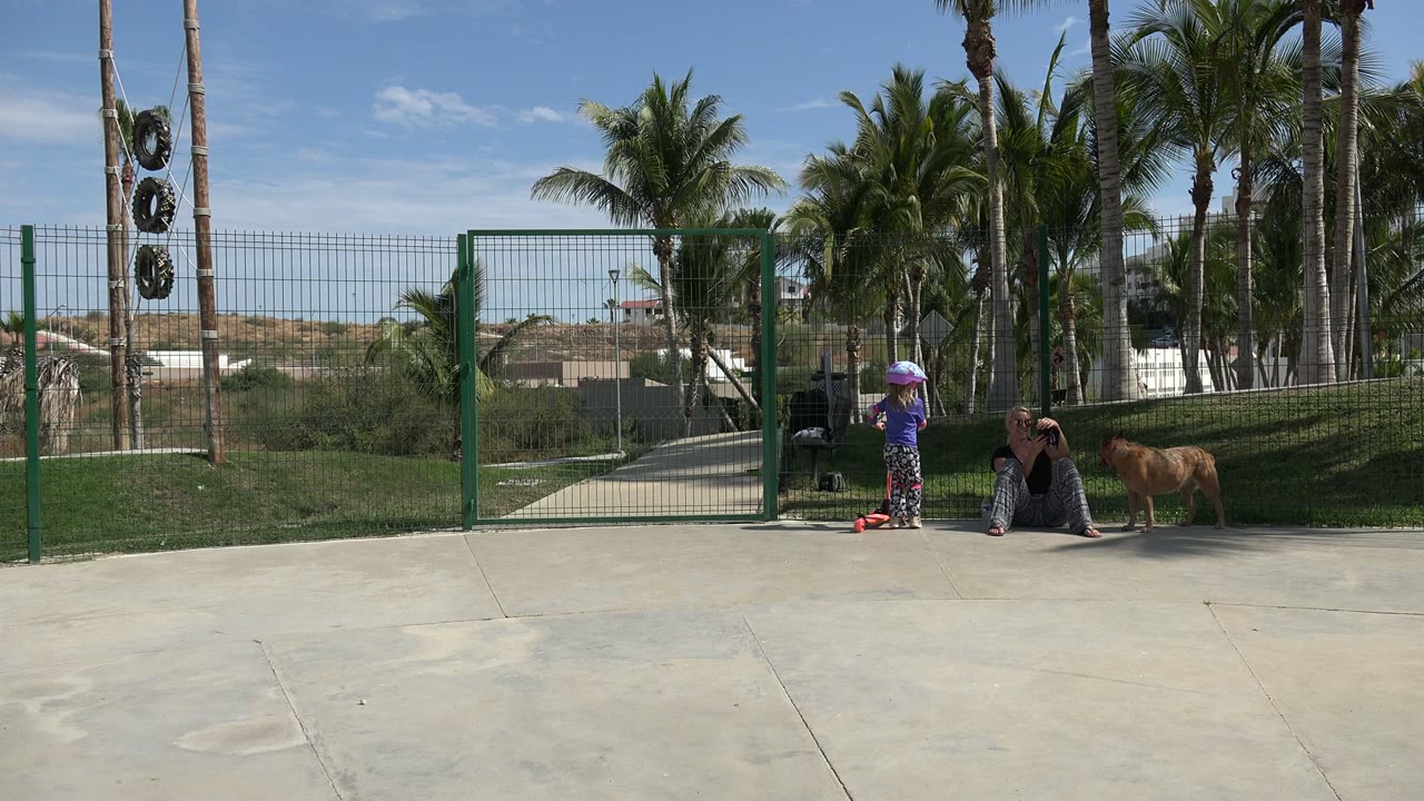 One second in, the Los Cabos park view shows the girl shifted slightly closer to the seated adult, with the golden dog still standing near the grass and palms.