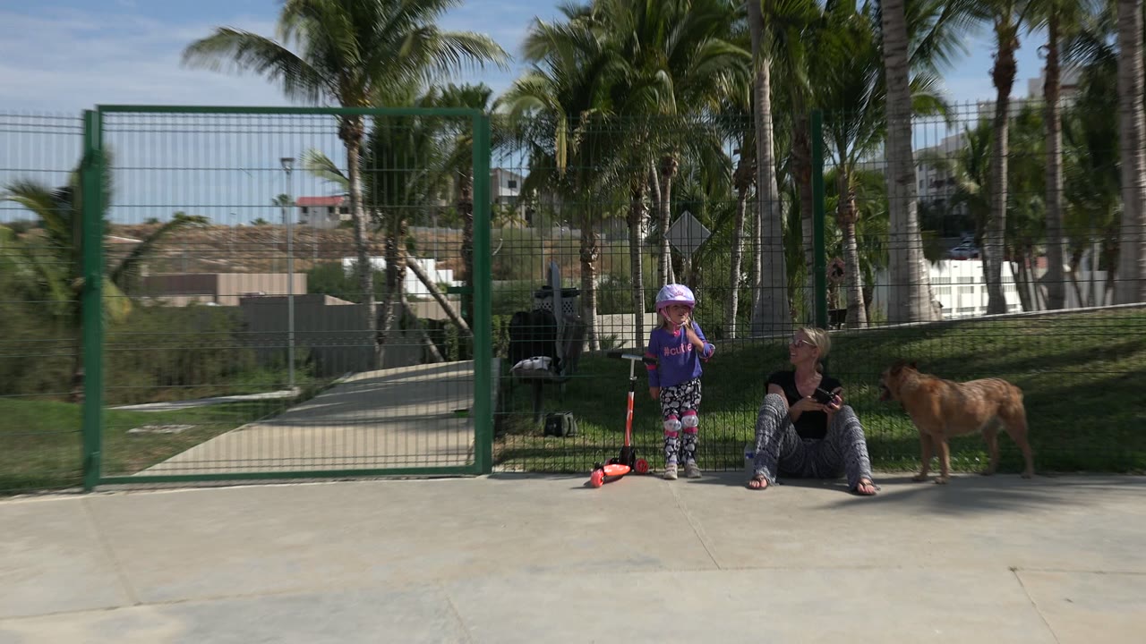 Child in helmet beside scooter with seated woman and dog near a fenced outdoor path.