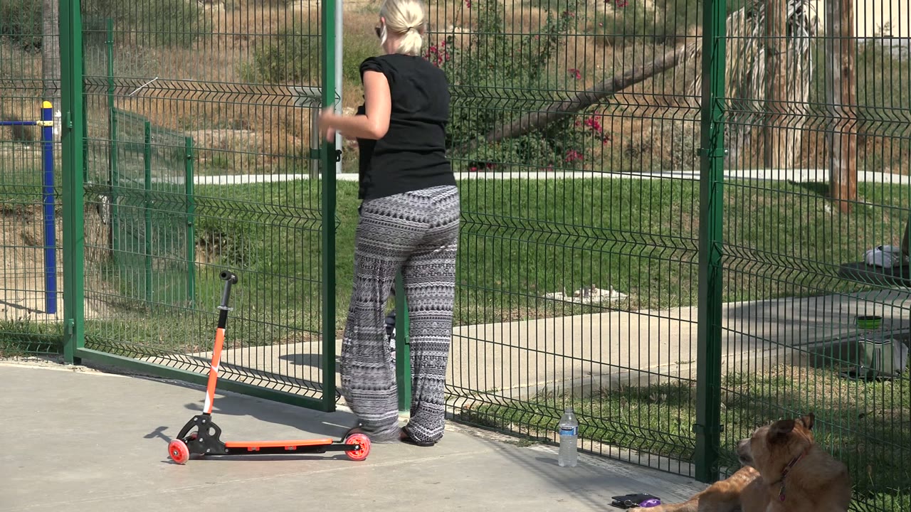 Woman near green fence with scooter and dog in foreground
