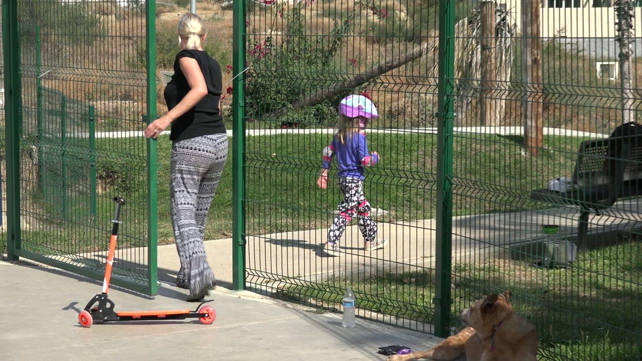 At 0:01 in Los Cabos, Mexico, the woman stands beside an open green gate as a small child in a purple hat and bright clothing walks inside the fenced park, with the dog still low in the foreground.