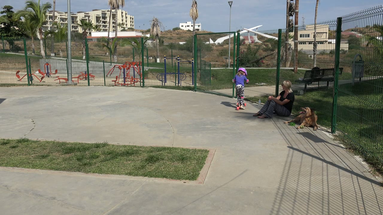 Child pauses or turns scooter near the seated adult and dog at the park fence.