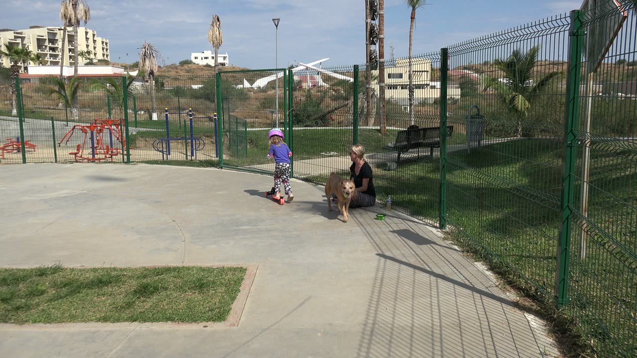 Child on a scooter near a seated woman and dog at a fenced playground.