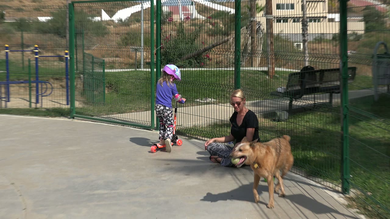 Medium playground view in Los Cabos with the child turned toward a seated woman, a tan dog in front of her, and a green fence enclosing grass and benches behind them.
