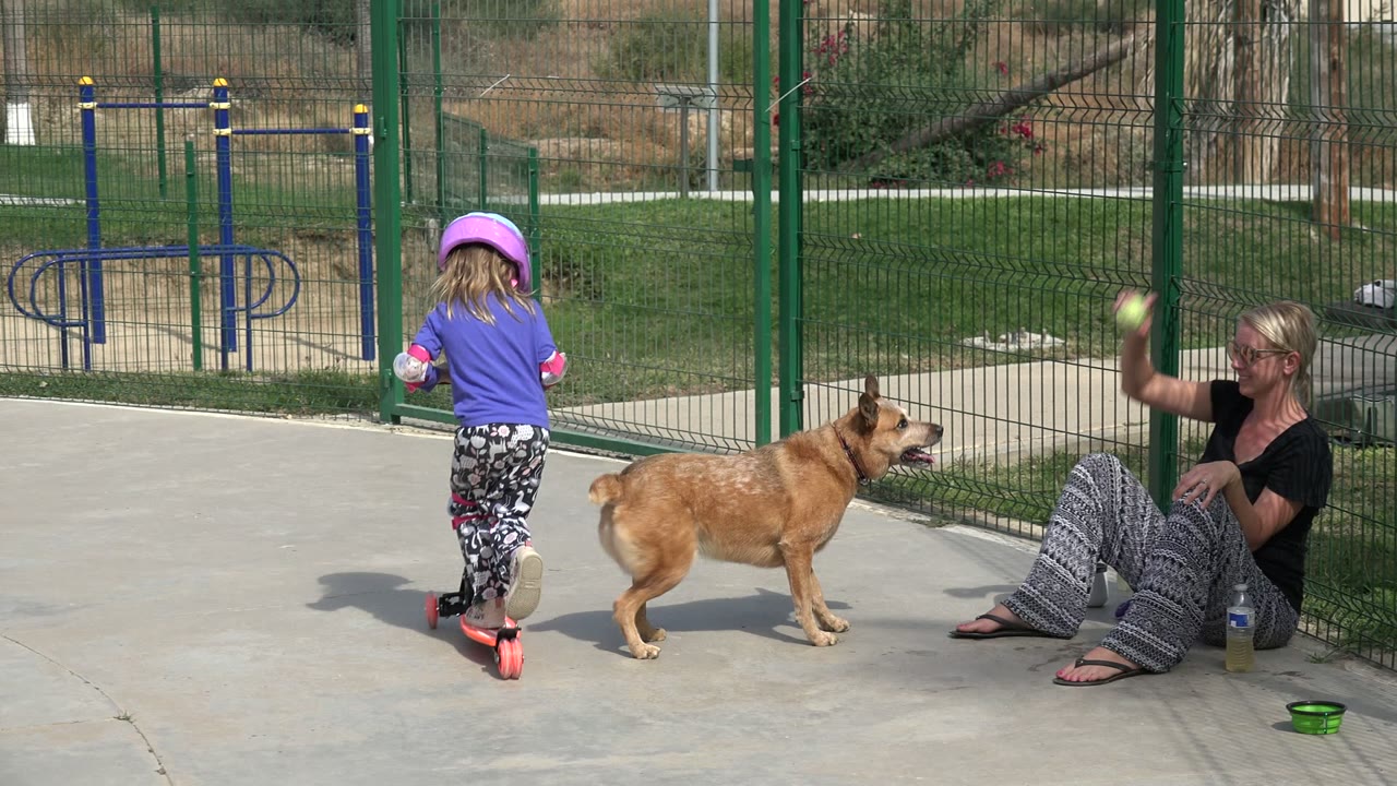 Child in helmet on scooter near dog and seated woman