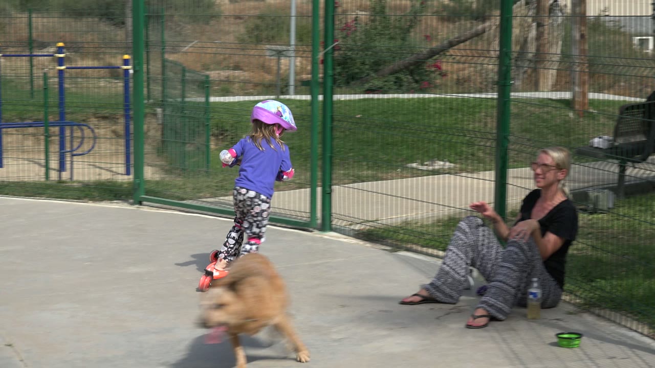 In Los Cabos, Mexico, the child rides the orange scooter near the fence while the tan dog runs across the foreground and the seated woman looks on.