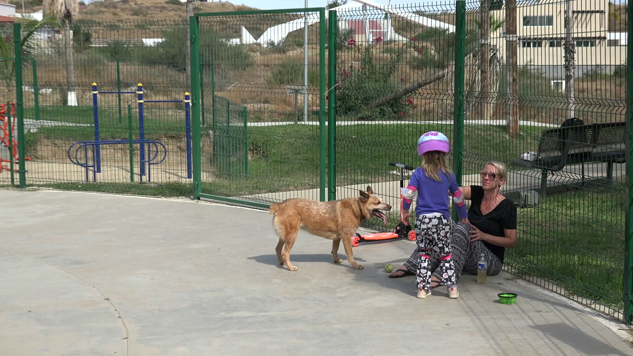 Child, seated woman, and tan dog beside a fenced park area.
