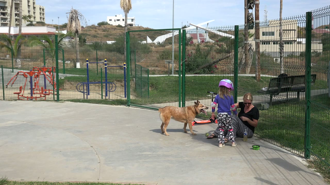 In Los Cabos, Mexico, the child stands closer to the seated woman as the tan dog waits near a red object on the pavement beside the fence.