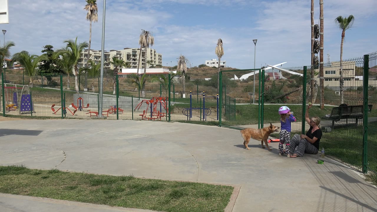 Woman seated by a child in a purple helmet as a tan dog stands nearby in a fenced park.
