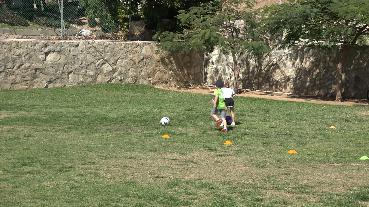 Children practicing football on a grass pitch with cones and small goals.