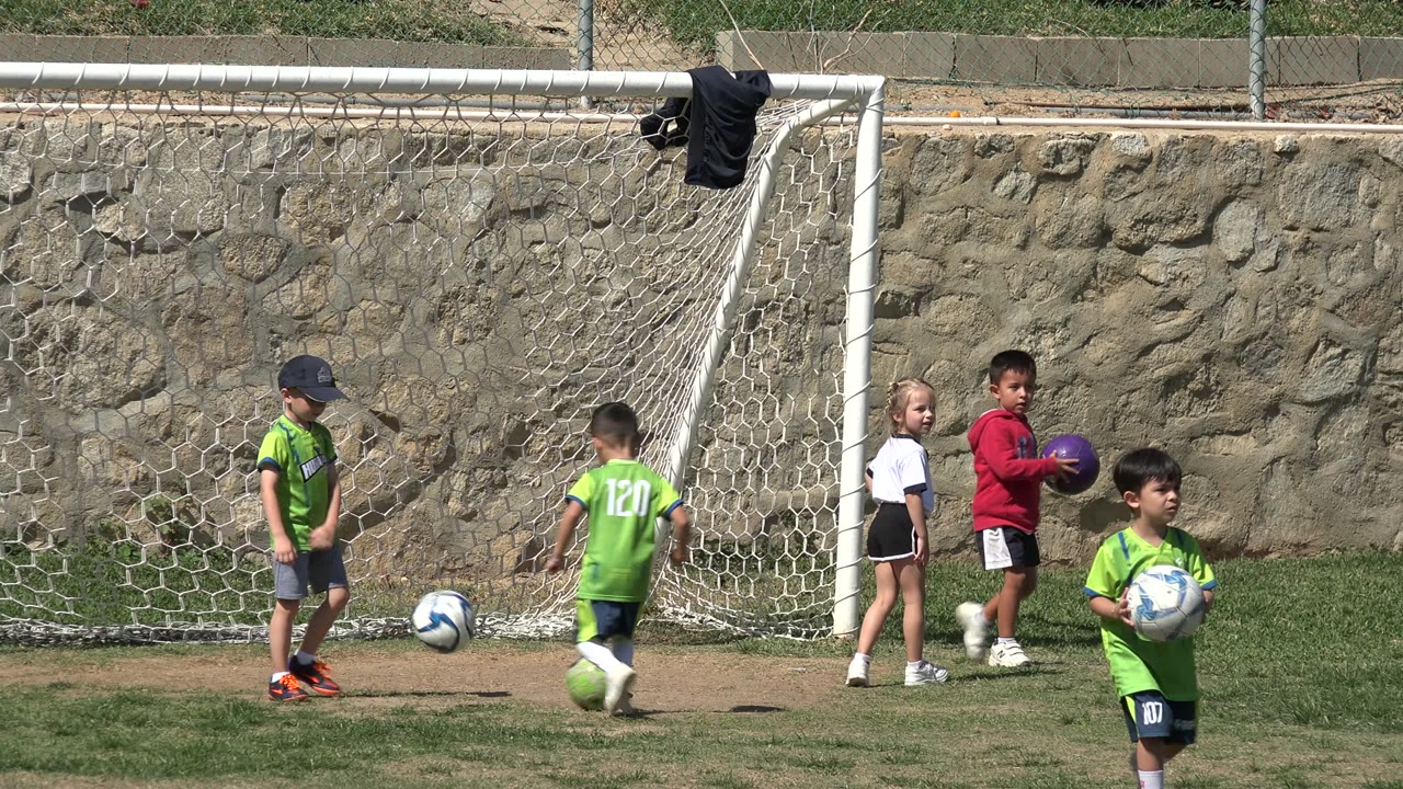 Children with soccer balls near a goal on a grass field.