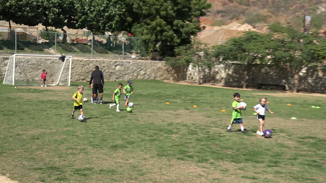 Children practicing soccer on a grass field with a goal and cones.