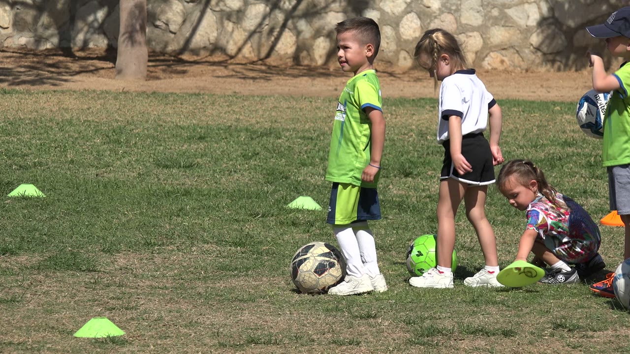 Young children stand near soccer balls and cones on a grassy field.